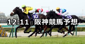 【阪神ジュベナイルフィリーズ】2022/12/11(日) 中央競馬 穴馬予想（阪神競馬）