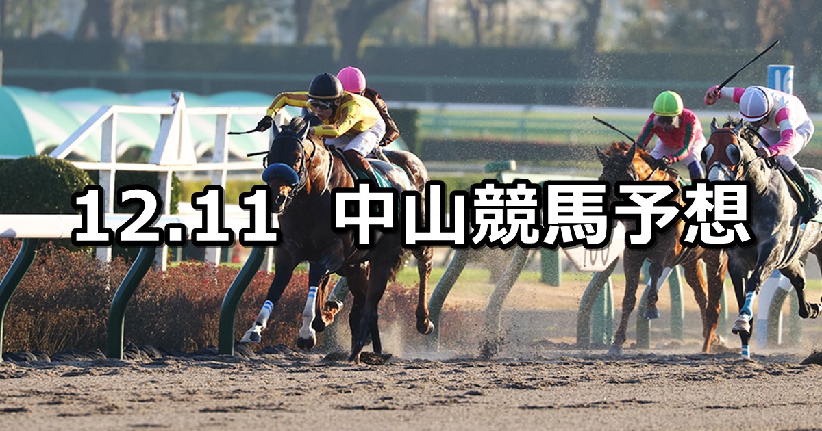 【カペラステークス】2022/12/11(日) 中央競馬 穴馬予想（中山競馬）