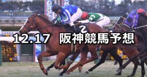 【タンザナイトステークス】2022/12/17(土) 中央競馬 穴馬予想(阪神競馬)