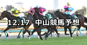 【ターコイズステークス】2022/12/17(土) 中央競馬 穴馬予想(中山競馬)