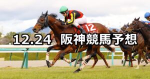 【阪神カップ】2022/12/24(土) 中央競馬 穴馬予想(阪神競馬)