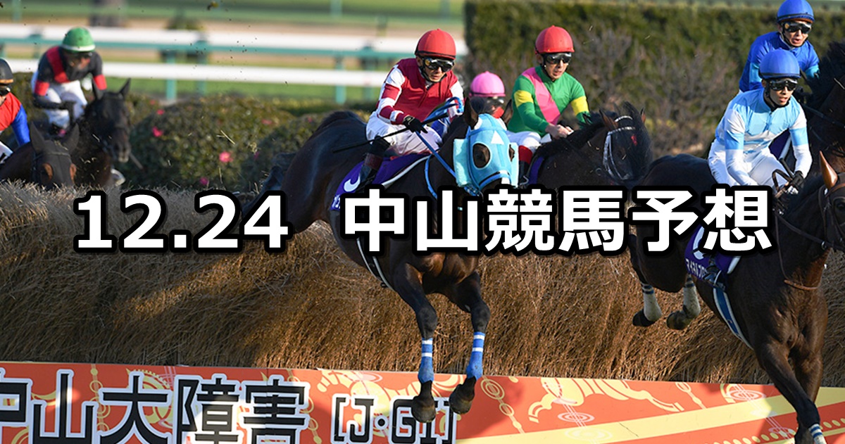 【中山大障害】2022/12/24(土) 中央競馬 穴馬予想（中山競馬）