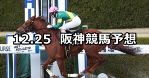 【りんくうステークス】2022/12/25(日) 中央競馬 穴馬予想(阪神競馬)