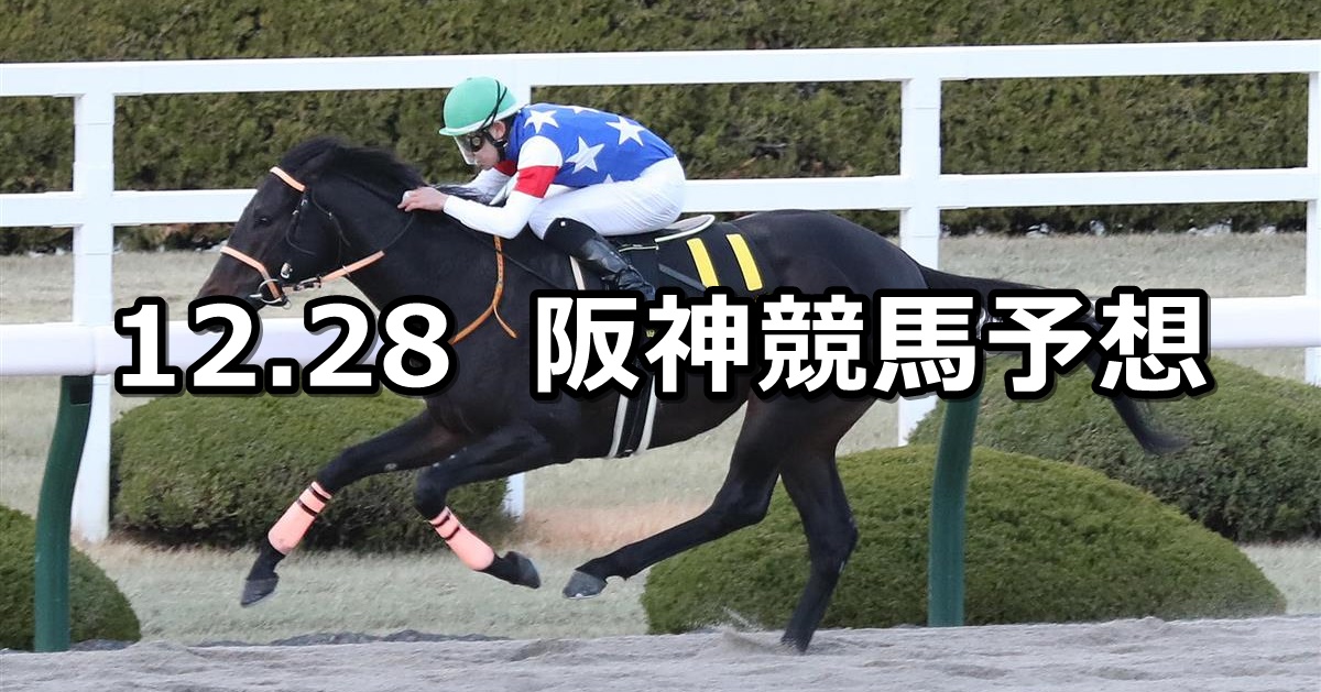 【ベテルギウスステークス】2022/12/28(水) 中央競馬 穴馬予想（阪神競馬）