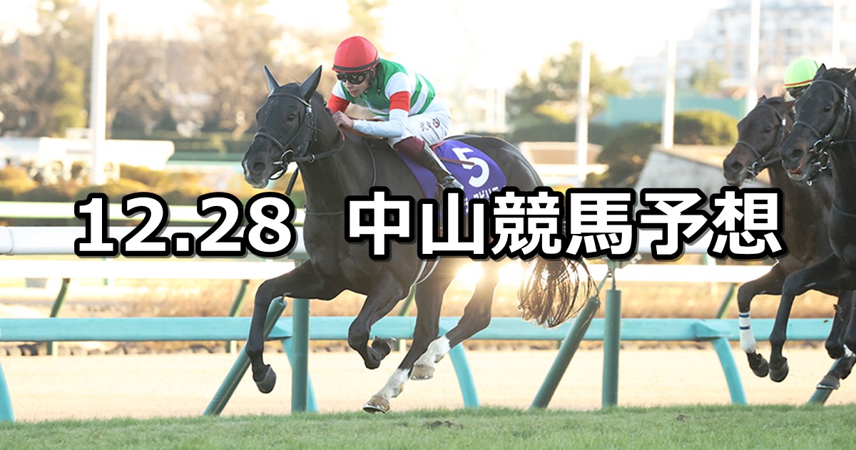 【ホープフルステークス】2022/12/28(水) 中央競馬 穴馬予想（中山競馬）