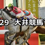【東京大賞典】2022/12/29(木)地方競馬 穴馬予想(大井競馬)