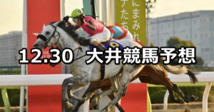 【東京シンデレラマイル】2022/12/30(金)地方競馬 穴馬予想(大井競馬)