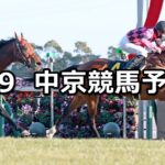 【淀短距離ステークス】2023/1/9(月) 中央競馬 穴馬予想(中京競馬)