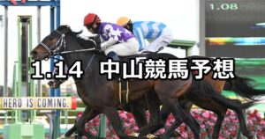 【カーバンクルステークス】2023/1/14(土) 中央競馬 穴馬予想（中山競馬）