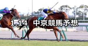 【愛知杯】2023/1/14(土) 中央競馬 穴馬予想（中京競馬）