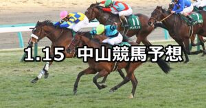 【京成杯】2023/1/15(日) 中央競馬 穴馬予想（中山競馬）