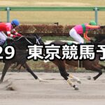 【根岸ステークス】2023/1/29(日) 中央競馬 穴馬予想(東京競馬)