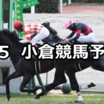 【関門橋ステークス】2023/2/5(日) 中央競馬 穴馬予想(小倉競馬)