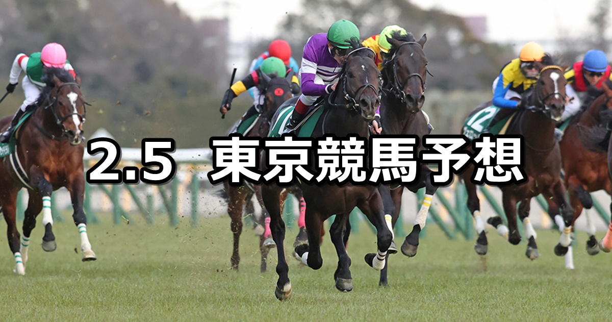 【東京新聞杯】2023/2/5(日) 中央競馬 穴馬予想（東京競馬）