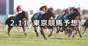 【デイリー杯クイーンカップ】2023/2/11(土) 中央競馬 穴馬予想(東京競馬)