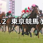 【共同通信杯】2023/2/12(日) 中央競馬 穴馬予想(東京競馬)