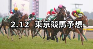 【共同通信杯】2023/2/12(日) 中央競馬 穴馬予想（東京競馬）