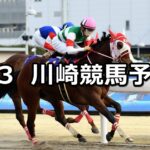 【ありがとう 酒井忍騎手】2023/3/3(金)地方競馬 穴馬予想(川崎競馬)
