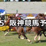 【大阪城ステークス】2023/3/5(日) 中央競馬 穴馬予想(阪神競馬)