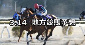 【黒船賞/早春賞】2023/3/14(火)地方競馬 穴馬予想（高知/船橋競馬）