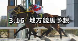【名古屋大賞典/京成盃グランドマイラーズ】2023/3/16(木)地方競馬 穴馬予想（名古屋/船橋競馬）