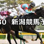 【谷川岳ステークス】2023/4/30(日) 中央競馬 穴馬予想（新潟競馬）