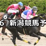 【越後ステークス】2023/5/6(土) 中央競馬 穴馬予想(新潟競馬)