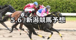 【越後ステークス】2023/5/6(土) 中央競馬 穴馬予想（新潟競馬）