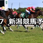 【新潟大賞典】2023/5/7(日) 中央競馬 穴馬予想(新潟競馬)