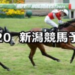 【大日岳特別】2023/5/20(土) 中央競馬 穴馬予想(新潟競馬)