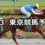 【アハルテケステークス】2023/6/3(土) 中央競馬 穴馬予想（東京競馬）