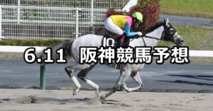 【三宮ステークス】2023/6/11(日) 中央競馬 穴馬予想（阪神競馬）