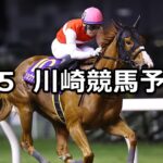 【スパーキングレディーカップ】2023/7/5(水)地方競馬 穴馬予想(川崎競馬)