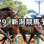 【関越ステークス】2023/7/29(土) 中央競馬 穴馬予想(新潟競馬)