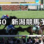 【アイビスサマーダッシュ】2023/7/30(日) 中央競馬 穴馬予想(新潟競馬)