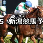 【新潟日報賞】2023/8/5(土) 中央競馬 穴馬予想(新潟競馬)