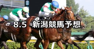 【新潟日報賞】2023/8/5(土) 中央競馬 穴馬予想(新潟競馬)