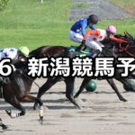 【レパードステークス】2023/8/6(日) 中央競馬 穴馬予想(新潟競馬)