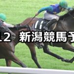 【稲妻ステークス】2023/8/12(土) 中央競馬 穴馬予想(新潟競馬)