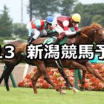 【関屋記念】2023/8/13(日) 中央競馬 穴馬予想(新潟競馬)