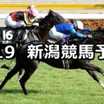 【日本海ステークス】2023/8/19(土) 中央競馬 穴馬予想（新潟競馬）