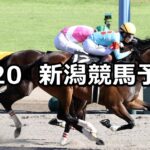 【NST賞】2023/8/20(日) 中央競馬 穴馬予想(新潟競馬)