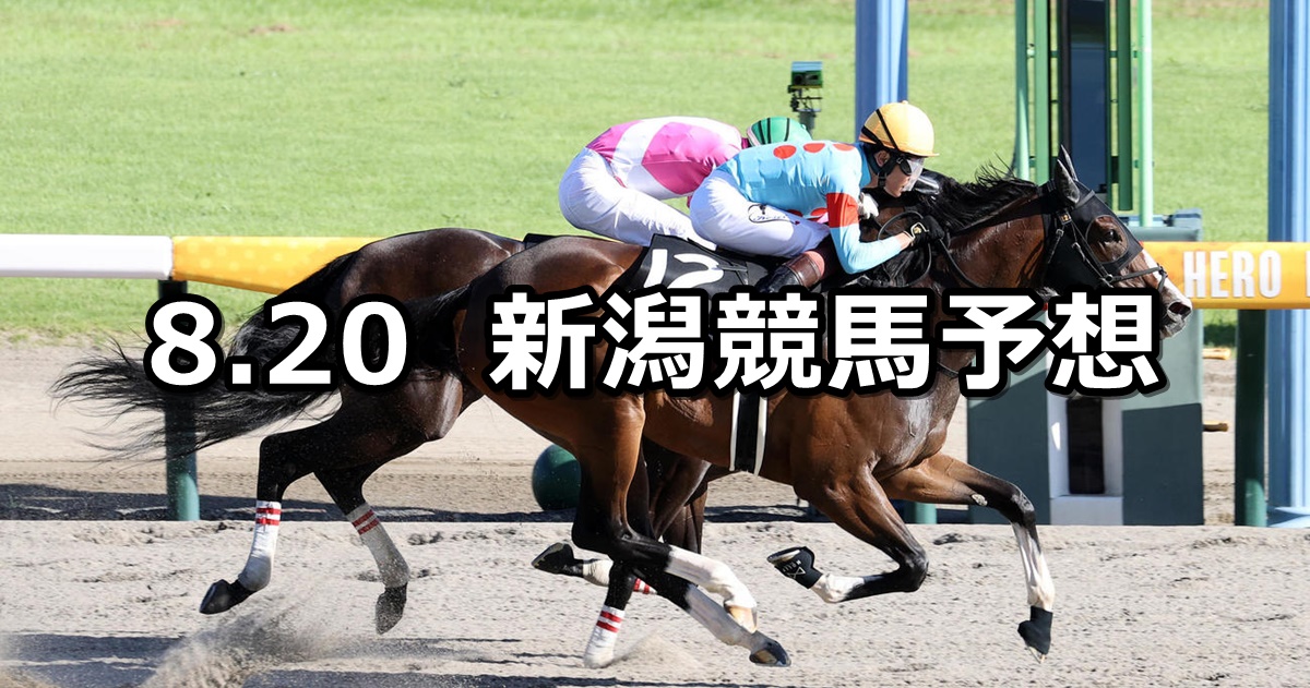 【NST賞】2023/8/20(日) 中央競馬 穴馬予想（新潟競馬）