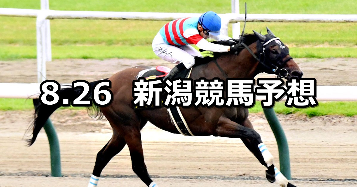 【BSN賞】2023/8/26(土) 中央競馬 穴馬予想（新潟競馬）