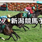 【新潟2歳ステークス】2023/8/27(日) 中央競馬 穴馬予想(新潟競馬)