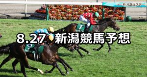 【新潟2歳ステークス】2023/8/27(日) 中央競馬 穴馬予想（新潟競馬）