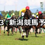 【新潟記念】2023/9/3(日) 中央競馬 穴馬予想(新潟競馬)