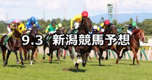 【新潟記念】2023/9/3(日) 中央競馬 穴馬予想（新潟競馬）