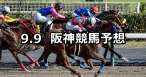 【エニフステークス】2023/9/9(土) 中央競馬 穴馬予想（阪神競馬）