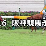 【ケフェウスステークス】2023/9/16(土) 中央競馬 穴馬予想（阪神競馬）